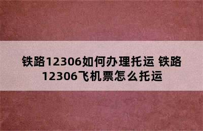 铁路12306如何办理托运 铁路12306飞机票怎么托运